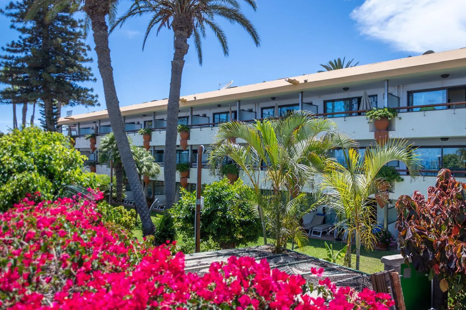 Apartamentos Nogalera Maspalomas  Apartment Maspalomas (Gran Canaria)